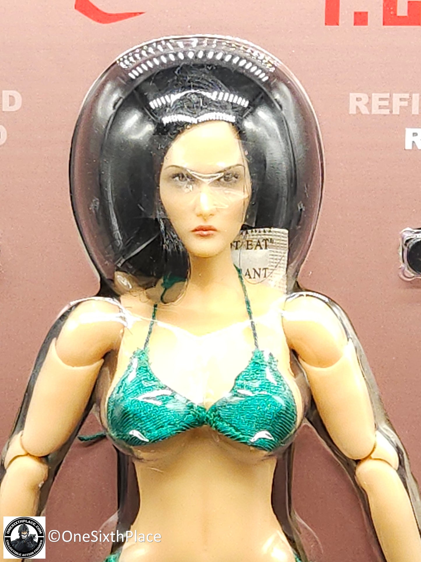 1:6 Triad Toys Female Otaku 1.2 Caucasian Body w/ Brunette Hair for 12" Figure READ NOTES