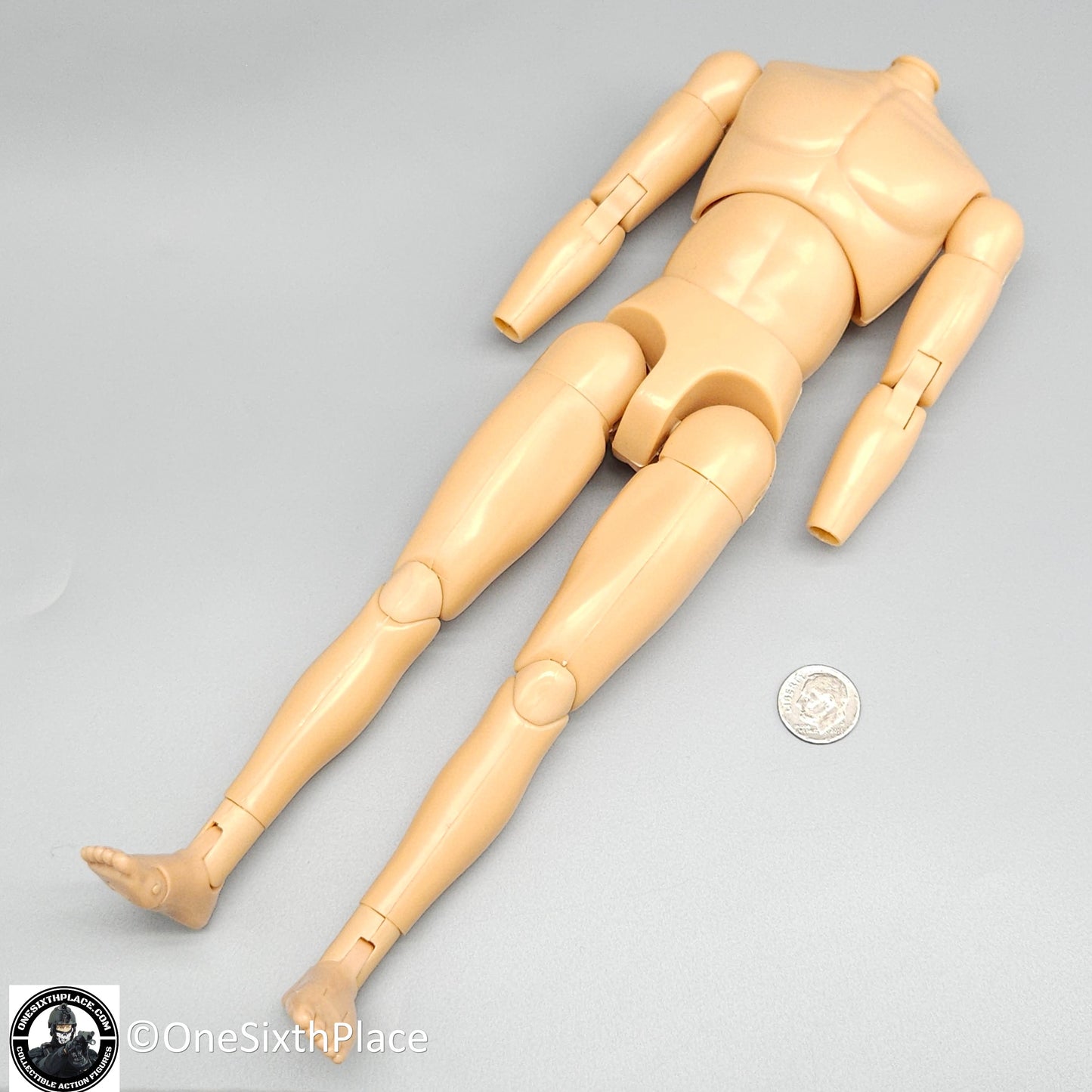 1:6 scale Dragon Neo Adam Male Nude Male Body (Natural Skin) 12" Figure