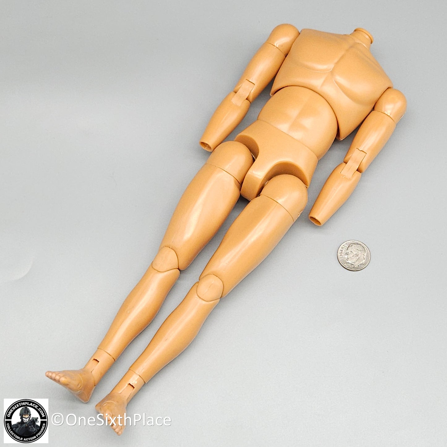 1:6 scale Dragon Neo Adam Male Nude Male Body (Suntan Skin) 12" Figure