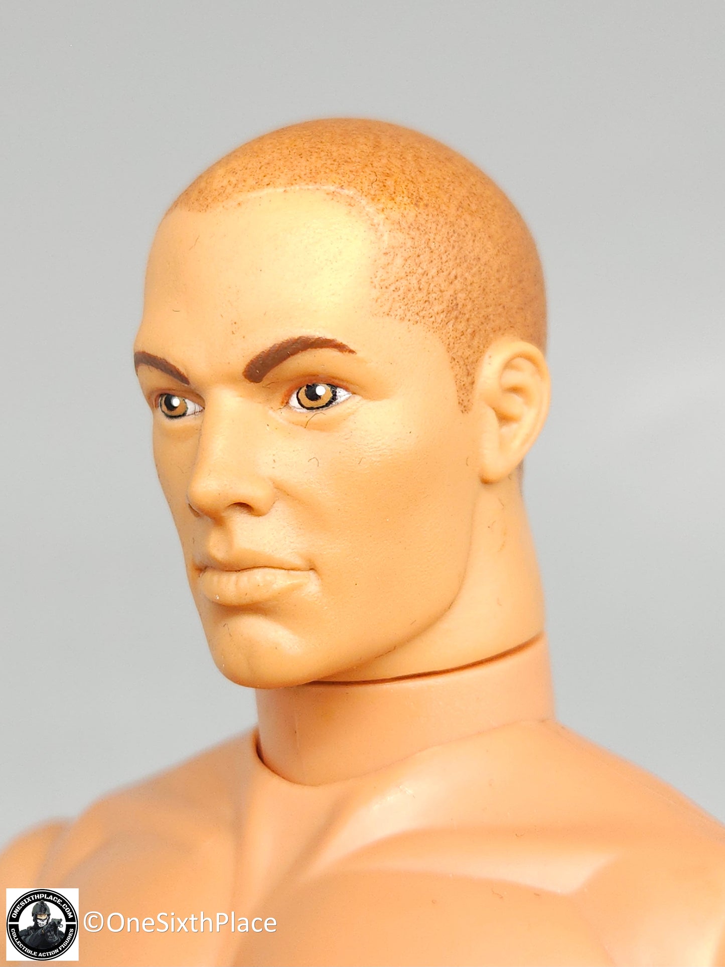 1:6 scale Hasbro GI Joe 1996 Male Body w/ Brown Buzz Cut & Brown Eyes 12" Figure