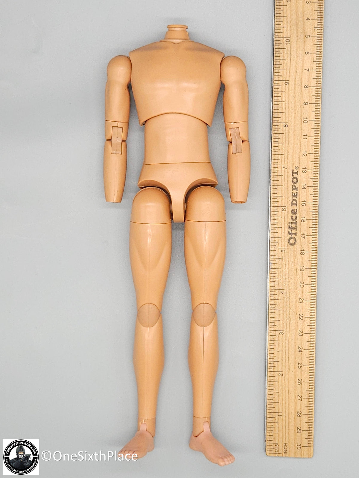 1:6 scale Dragon Adam Slim Male Nude Male Body (Suntan Matte) 12" Figure