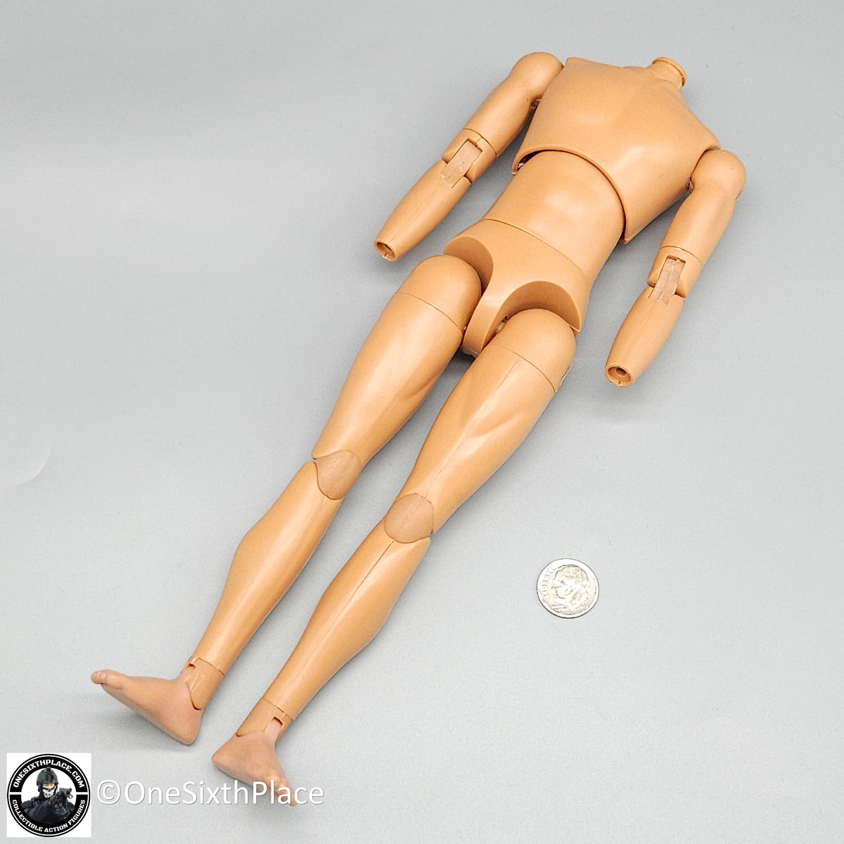 1:6 scale Dragon Adam Slim Male Nude Male Body (Suntan Matte) 12" Figure