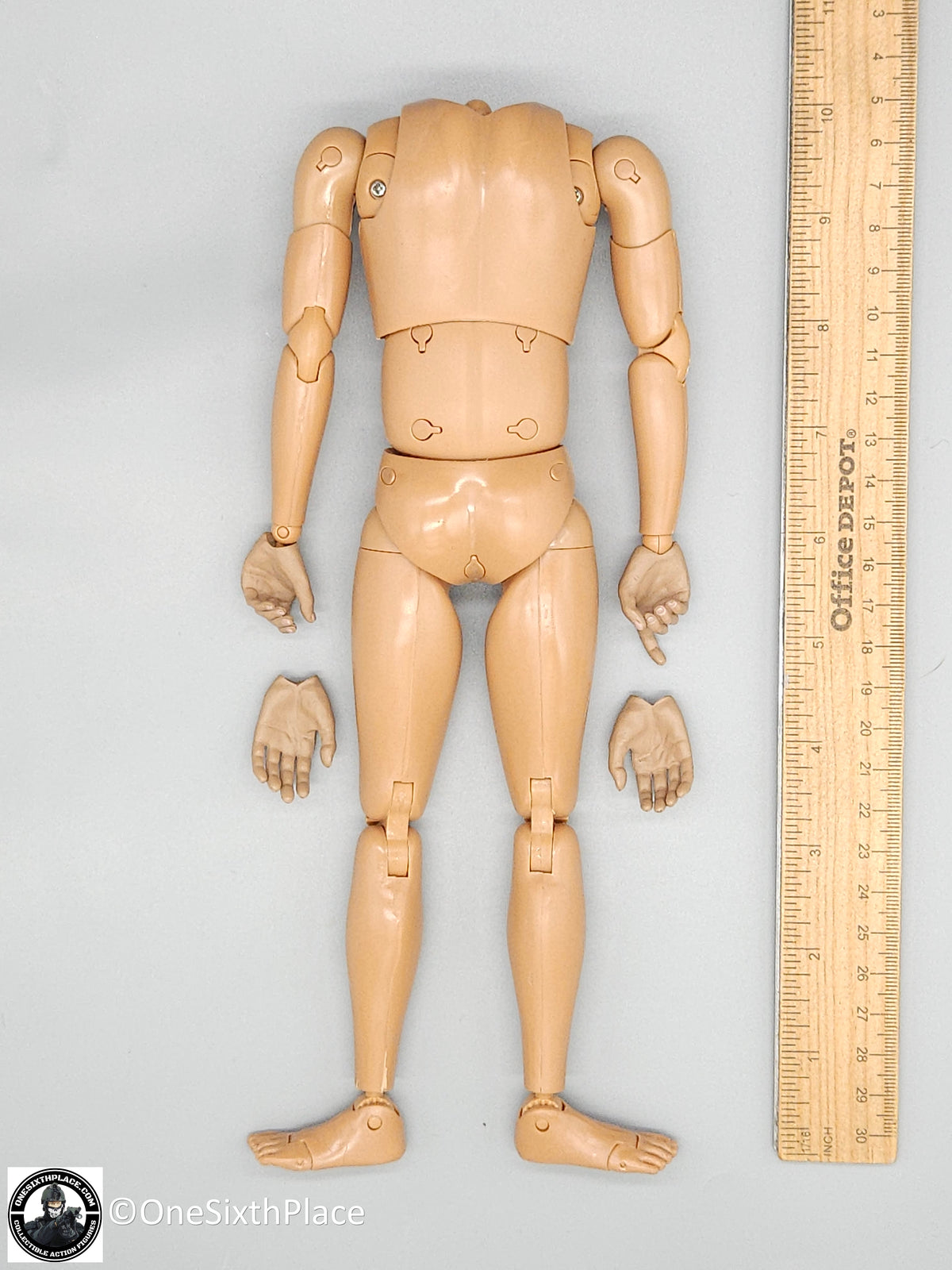 1:6 scale DiD Afghan Fighter Asad Male Body for 12" Figures