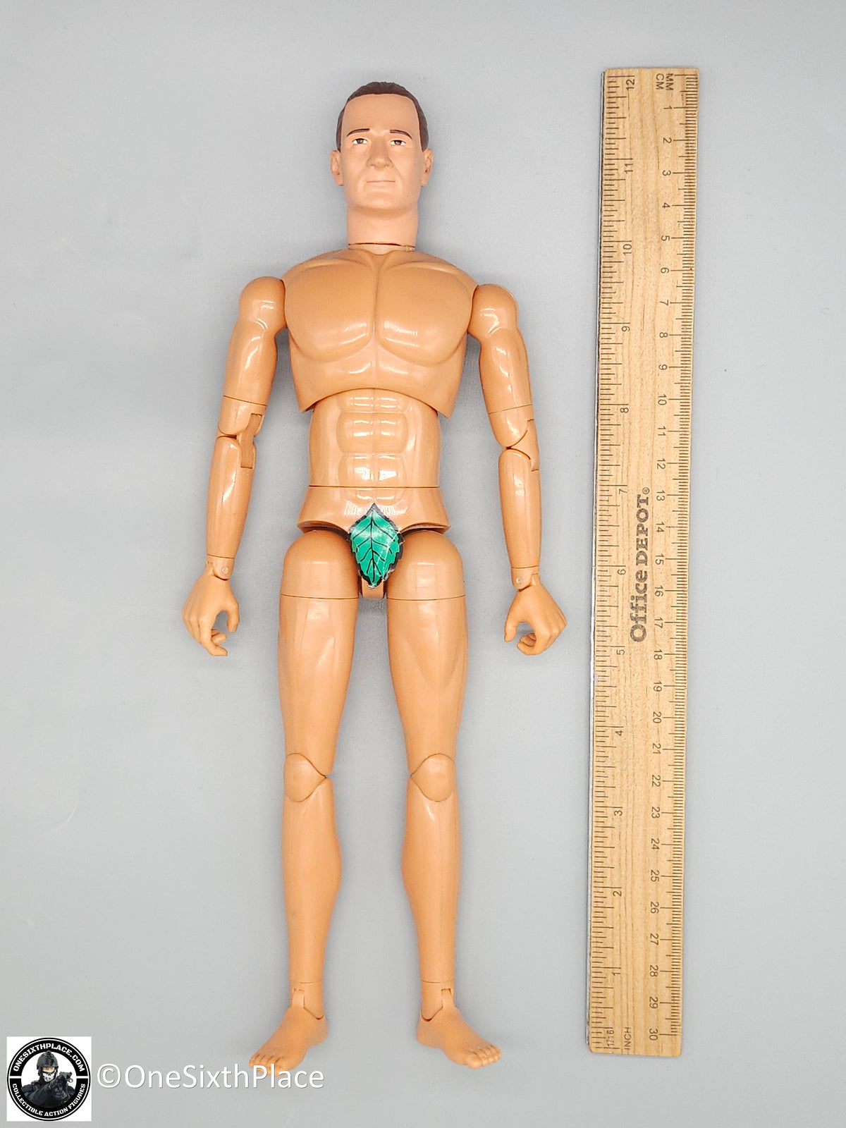 1:6 scale Dragon Adam Male Body w/ Head & Hands 12" Figure