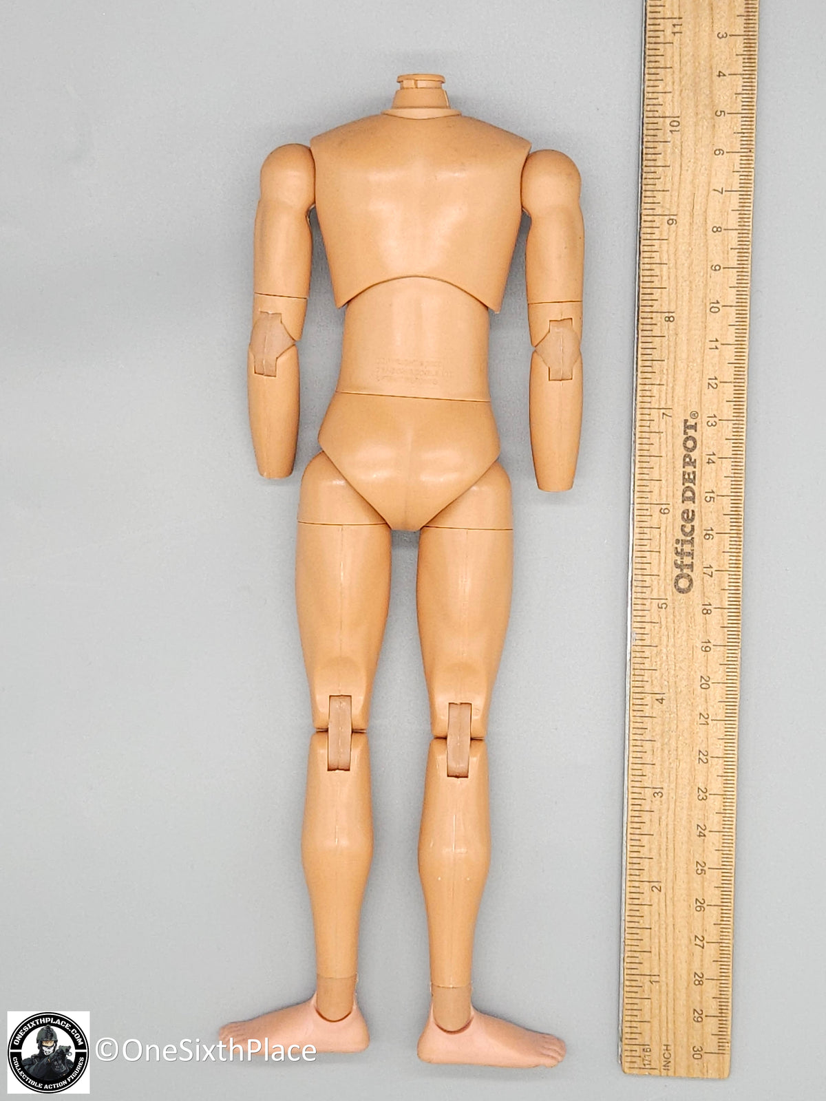 1:6 scale Dragon Adam Slim Male Nude Male Body (Suntan Matte) 12" Figure