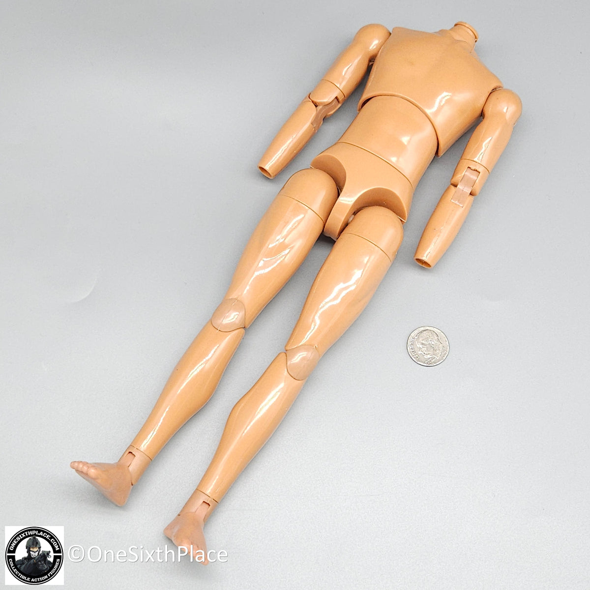 1:6 scale Dragon Adam Slim Male Nude Male Body (Suntan Gloss) 12" Figure
