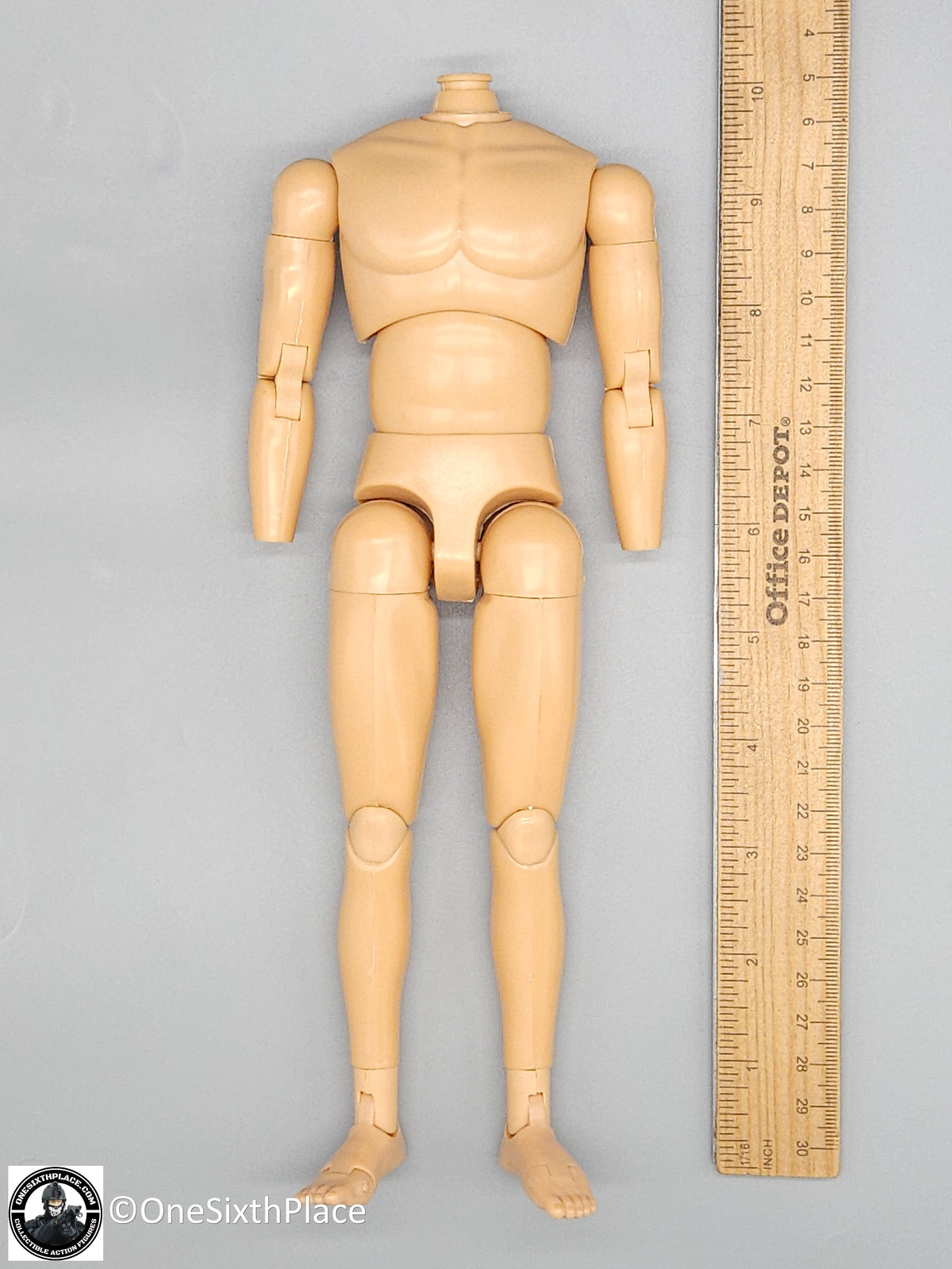 1:6 scale Dragon Neo Adam Male Nude Male Body (Natural Skin) 12" Figure
