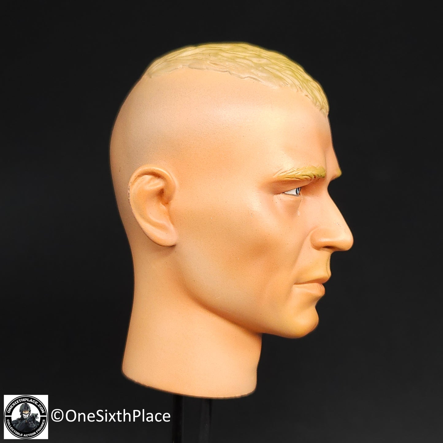 1:6 scale Dragon US Airborne Alex Male Head Sculpt for 12" Figures