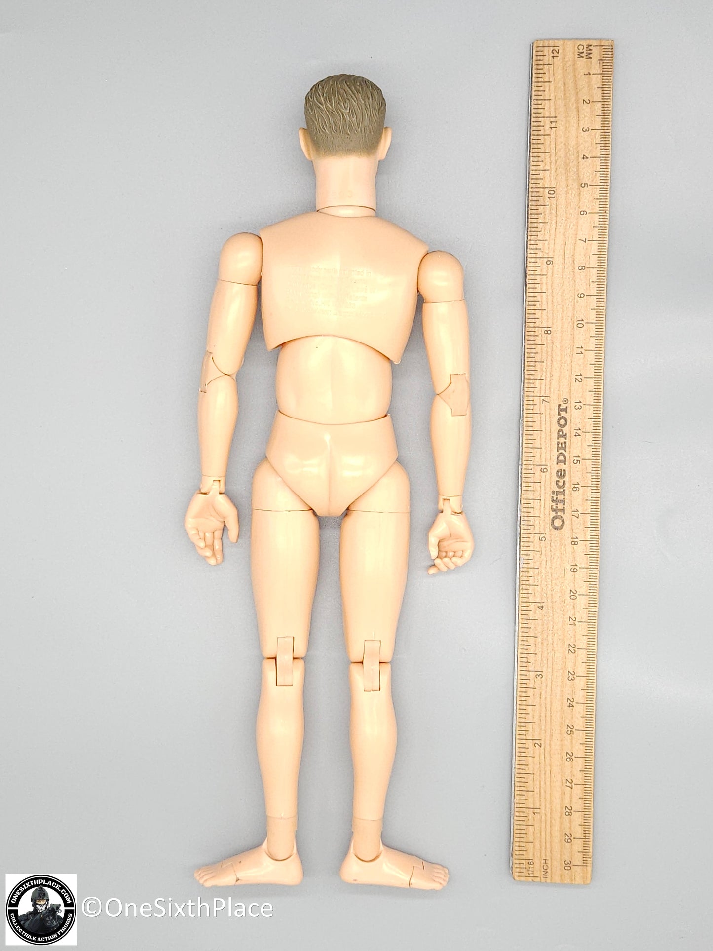 1:6 scale Dragon Kenneth Bowra Vietnam Male Body w/ Head Sculpt 12" Figure